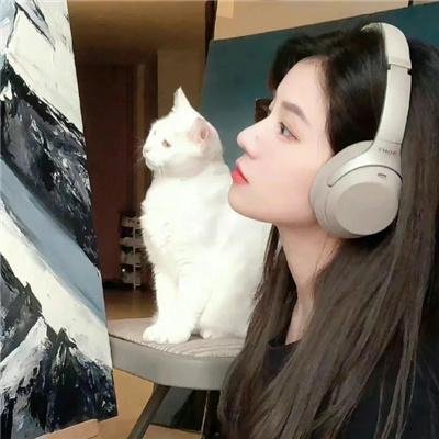 大白鲨三集